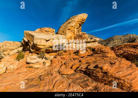 Turtle Head Peak Over Sandstone Slickrock on The Calico Hills Tank Trail, Red Rock Canyon National Conservation Area, Las Vegas, Nevada, USA Stock Photo