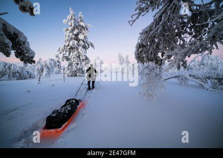 Ski touring in Pallas-Yllästunturi National Park, Enontekiö, Lapland, Finland Stock Photo