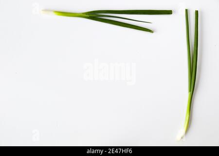 Two fresh green onions isolated on the white background - minimalistic concept Stock Photo
