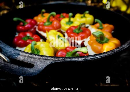Stuffed Pepper in a Dutch Oven over a Ccampfire Stock Photo
