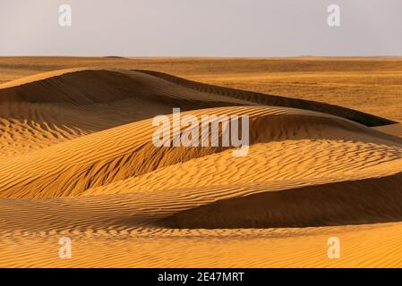 Huge dunes of the desert. Beautiful structures of sandy barkhan or sand-dune. Waves by wind on sand surface. Stock Photo