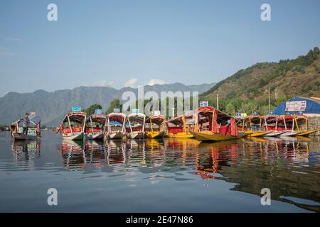 Dal Lake, Kashmir, India, 2nd Aug 2014. Colouful Shikaras on Dal Lake Stock Photo