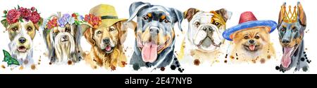 Cute border from watercolor portraits of dogs. For t-shirt graphics. Watercolor dogs illustration Stock Photo
