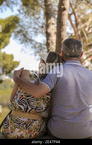 Back view of a cute middle-aged couple hugging and sitting on a wooden bench Stock Photo