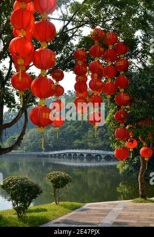 Many bright red lanterns hang from trees in the Fairy Lake botanical garden in Shenzhen. Chinese New Year 2020 Stock Photo