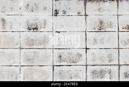 Old grunge textures backgrounds. Perfect background with space. Stock Photo