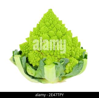 Fresh Romanesco cauliflower or broccoli isolated on a white background Stock Photo