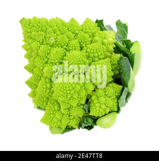 Fresh Romanesco cauliflower or broccoli isolated on a white background Stock Photo