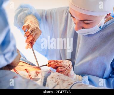 Close up of young female surgeon in sterile gloves placing sutures following tummy tuck surgery. Woman doctor wearing blue surgical uniform and medical mask while performing abdominal plastic surgery. Stock Photo