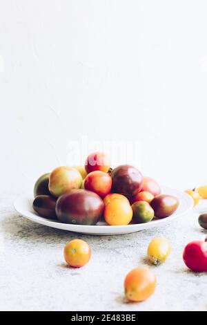 Various colorful tomatoes on white plate on stone table. Different kinds of fresh organic tomato on grey concrete background with place for text. Farm Stock Photo