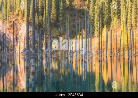 Kaindy Lake in Kolsai Lakes National Park in Saty, Kazakhstan features submerged birch tree trunks. Stock Photo