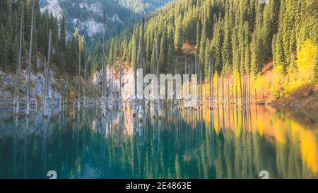 Kaindy Lake in Kolsai Lakes National Park in Saty, Kazakhstan features submerged birch tree trunks. Stock Photo