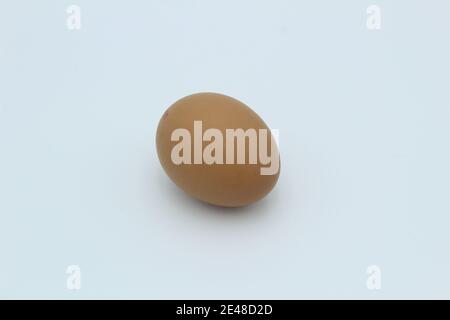 A single speckled brown hen's egg on a white plain background lying on it's side Stock Photo