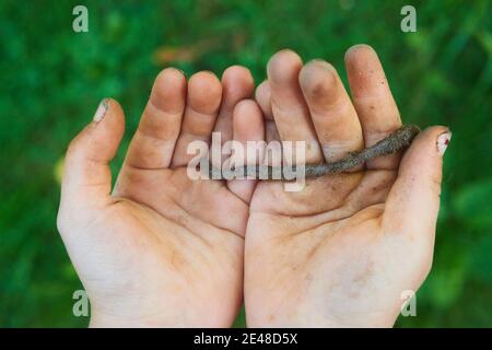 Child hands holding earthworm in garden Stock Photo