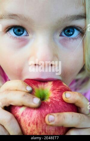 Child girl eating fresh apple after plucking from the tree. Closeup portrait Stock Photo
