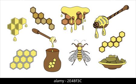 Honey and propolis set. Vector icons illustration Stock Vector