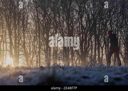 Cardiff, Wales, UK. 22nd Jan, 2020. A man walks through a frosty field as the sun rises on a freezing January morning in west Cardiff. Credit: Mark Hawkins/Alamy Live News Stock Photo