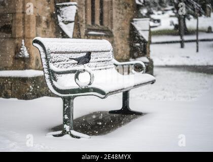 Bench in snowfall scene cemetery and church yard with grave stones and wild black bird standing in snow settled on ground local village town Mansfield Stock Photo