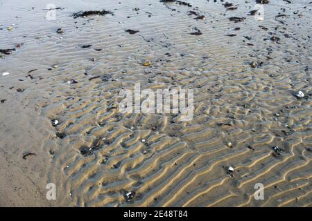 Natural background from sand ripples, pattern from the waves on the beach with some pebbles and algae at the coast of the Baltic Sea near the tourist Stock Photo
