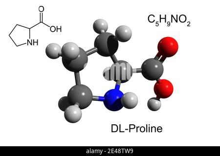 Chemical formula, skeletal formula and 3D ball-and-stick model of DL-proline, a nonessential amino acid Stock Photo
