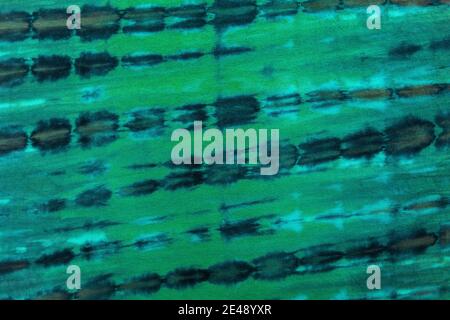 Multicolor blue, green, black textile tie dye color background. Shibori pattern concept. Stock Photo