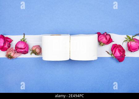 Toilet papers and red rose flower boutons on blue background Stock Photo