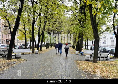 Saint-Petersburg, Russia - November, 2020 Autumn view, People walk in the park. People walks through the alley among the autumn trees. Yellow leaves, Stock Photo