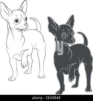 Set of vector drawing of the chihuahua. Isolated vector objects on a white background. Stock Vector
