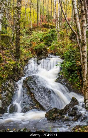 Waterfall on one of the many small streams flowing into Loch Katrine in Scotland, UK Stock Photo
