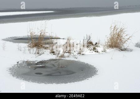 Frozen lake shore with snow covered grasses Stock Photo