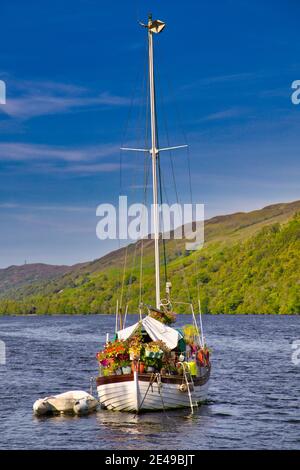 Flower Boat, Loch Oich, Scotland Stock Photo