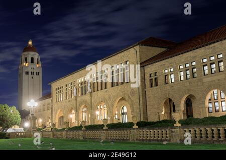 Night Herons Foraging Under Hoover Tower at Stanford University