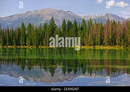 Beauvert Lake near Jasper, Jasper National Park, Rocky Mountains, Alberta, Canada Stock Photo