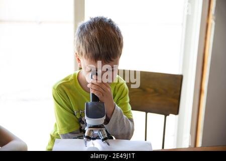 Head on view of little boy looking at bug under microscope Stock Photo