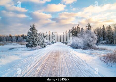 The Confederation Trail also know as the Trans Canada Trail is a snowmobile trail in winter running the length of the province of Prince Edward Island Stock Photo