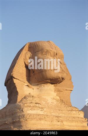 North Africa Egypt Cairo Giza city plateau the Sphinx head close up view Stock Photo