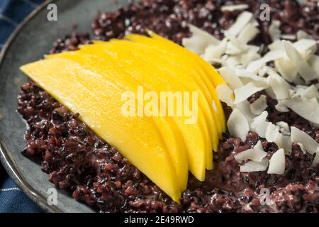 Homemade Purple Mango Sticky Rice with Coconut Milk Stock Photo