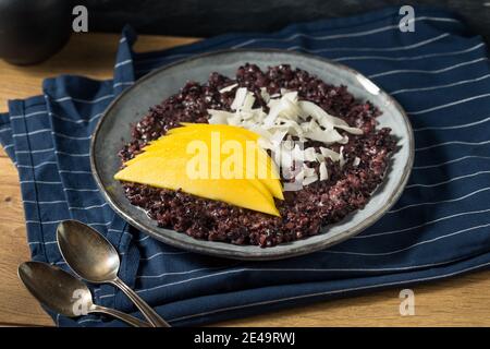 Homemade Purple Mango Sticky Rice with Coconut Milk Stock Photo