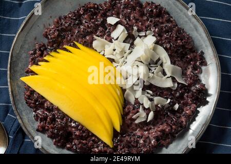 Homemade Purple Mango Sticky Rice with Coconut Milk Stock Photo