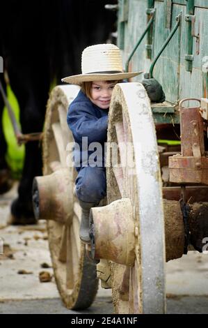 Amish lifestyle in and around Sugarcreek and Millersburg Ohio OH Stock Photo