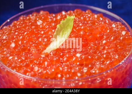Charming fresh red caviar in full frame for tasty eating Stock Photo