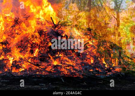 Forest fire near Hanover, Lower Saxony Stock Photo