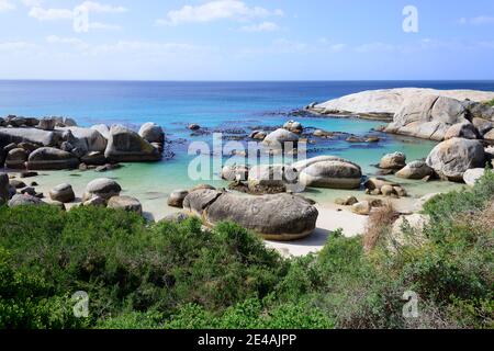 Boulders Beach with African penguins (Spheniscus demersus) in the water, colony of penguins, Simons Town, South Africa, Indian Ocean Stock Photo