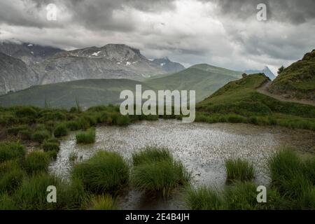 Pond with tufts of grass in the rain, cloudy mountains in the background Stock Photo