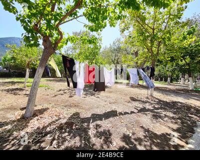 Wäsche hängt im Wind auf einem Campingplatz zwischen Maulbeerbäumen, Palea Epidauros, Argolis, Peleponnes, Griechenland Stock Photo