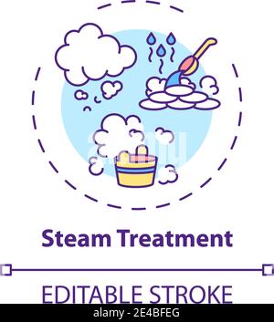 Steam treatment concept icon Stock Vector
