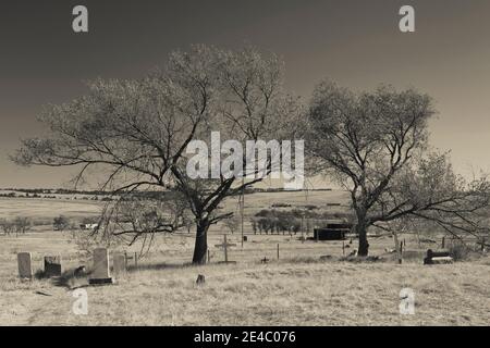 Tombstones and trees in a cemetery, Wounded Knee Massacre, Wounded Knee, South Dakota, USA Stock Photo