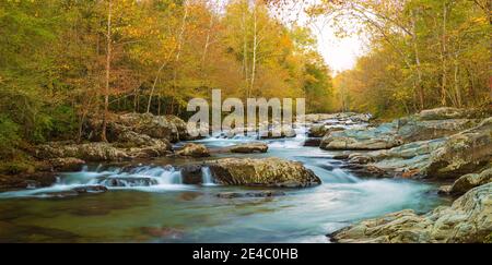 Little Pigeon River flowing through a forest, Greenbrier, Great Smoky Mountains National Park, Tennessee, USA Stock Photo