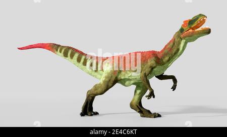 Allosaurus dinosaur, artwork. Allosaurs were large carnivorous ...