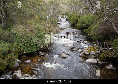 Kosciuszko National Park, Thredbo, NDSW, Australia Stock Photo